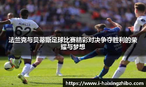 海星体育